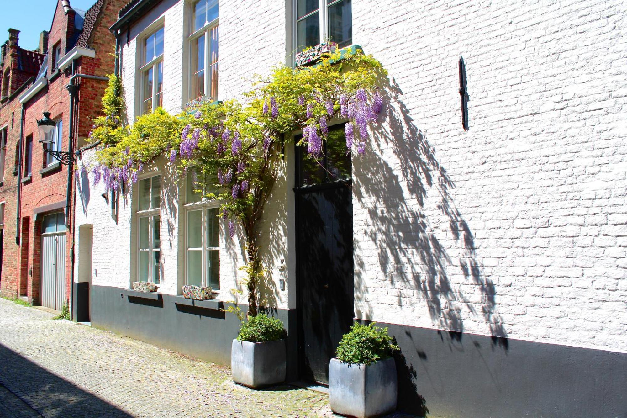 Guest Hoorn 17 - 1 Appartement Bruges